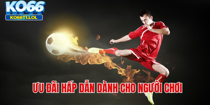 Hàng ngàn ưu đãi hấp dẫn dành tặng hội viên