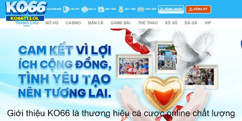 Giới thiệu KO66 là thương hiệu cá cược online chất lượng